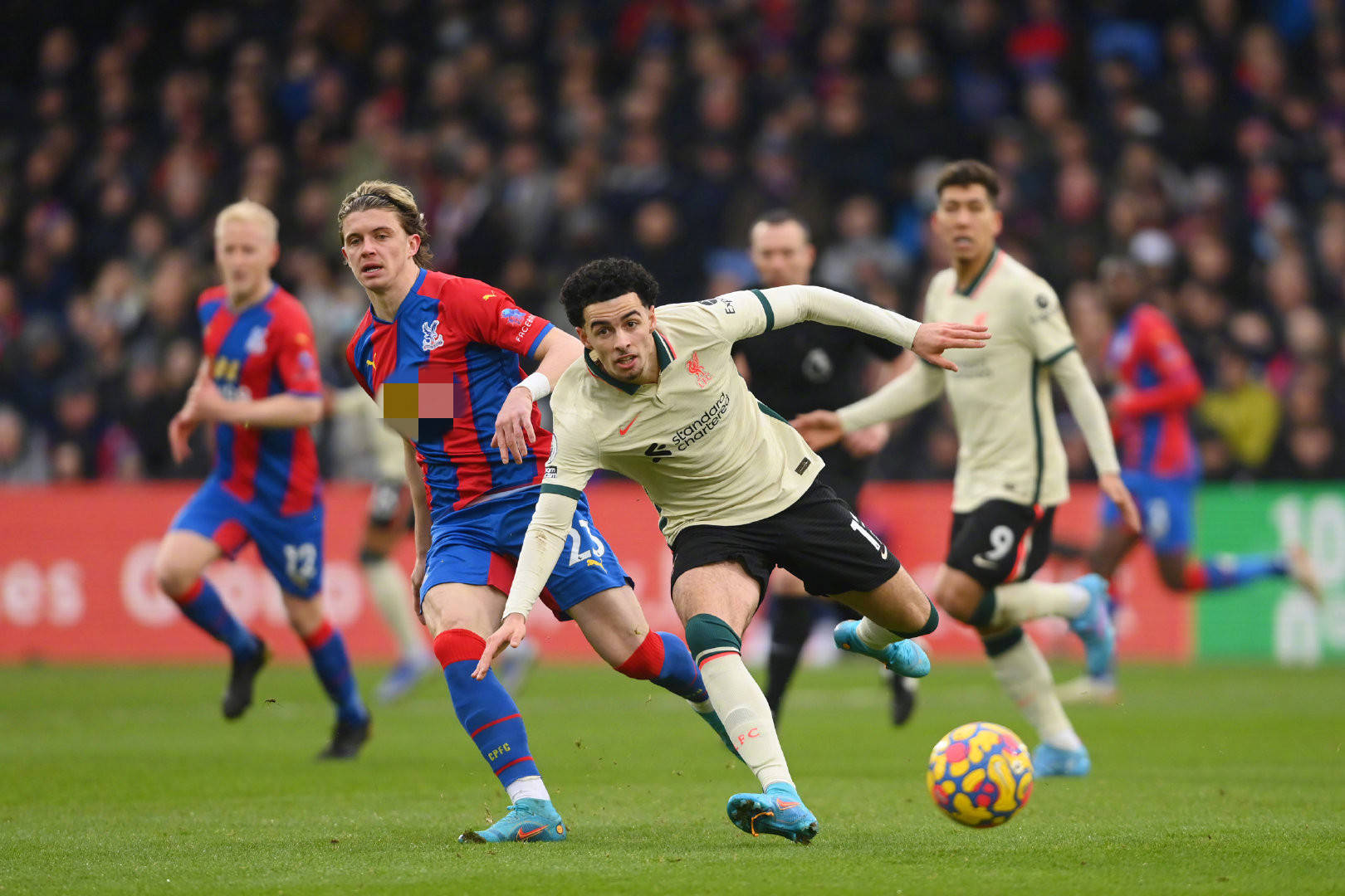 赢得了众多 赢得了众多