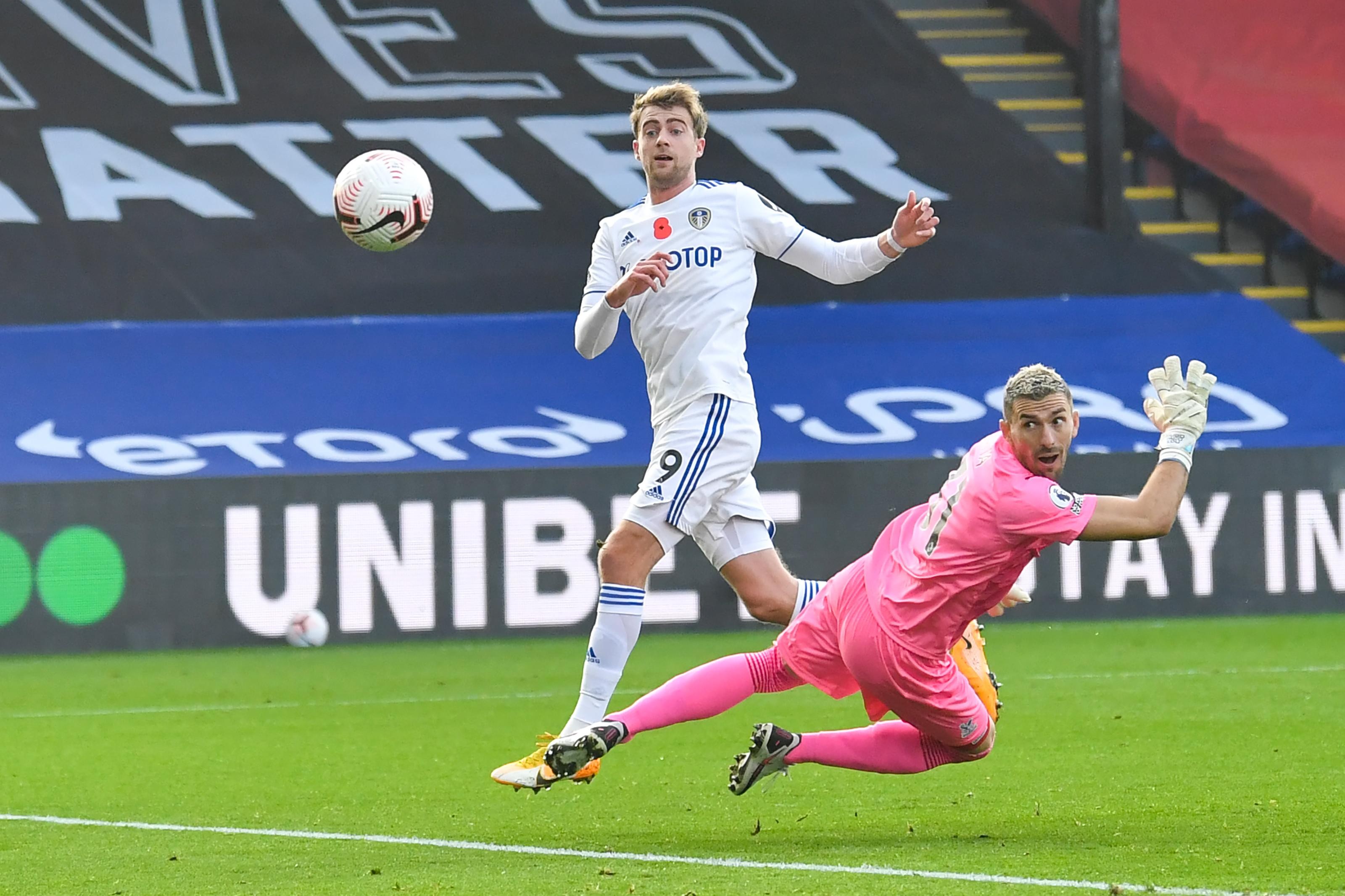 了顽强的斗 了顽强的斗