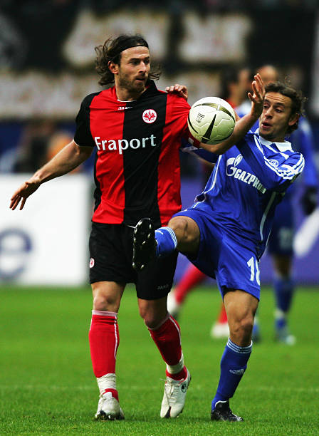 既是舆论放 既是舆论放